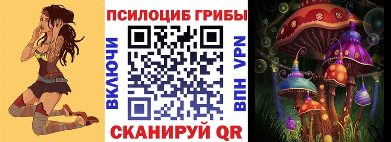 Псилоцибиновые грибы мицелий  Купить где  Карабулак 